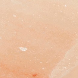 Landmann druskos akmuo kepimui ant grotelių