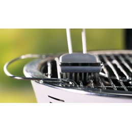 Tescoma Privilege plieninis grilio šepetys