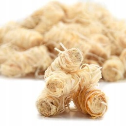 Survival Feniks ekologiškas parafininis židinio žiebtuvėlis šašlykams 2kg