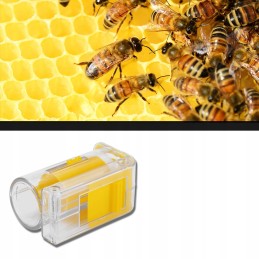 Bičių gaudyklė bičių motinai