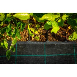 Juoda agrotekstilė šlaitams, platus, 525 cm, tvirtas, storas, 110 g, UV kilimėlis