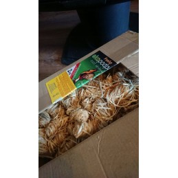Židinio starteris iš medžio vatos 2 kg