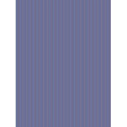 Iešmeliai mėsos iešmams, nerūdijančio plieno, 10 vnt, 50 cm, grilis