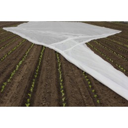 Baltos agrotekstilės plotis 160 cm x 10 m p23 (23g/m2)