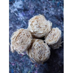 Ekologiškas aukščiausios kokybės ugnies starteris židiniui, griliui, viryklei, 2kg