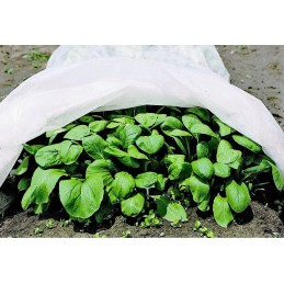 Baltos agrotekstilės plotis 160 cm x 10 m p23 (23g/m2)