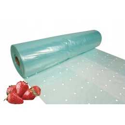 Perforuota folija su UV filtru, 3,6 x 1 m, skaidri