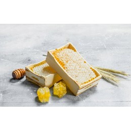 Sekcijinis karkasas (6 vnt) sekcijiniam medui