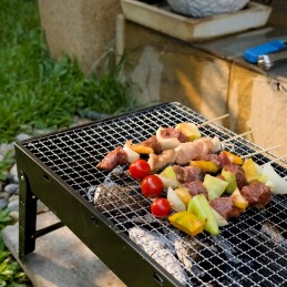 Sulankstoma, nešiojama, sodo kepsninė 60x20x37cm