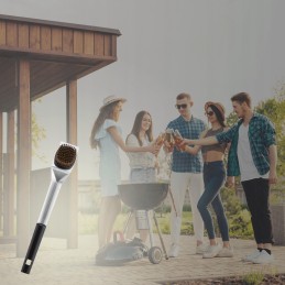 Cadac nerūdijančio plieno grandiklio šepetys