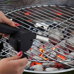 Handheld grill blower