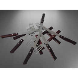 12 di solle sollewood peilių ir šakių rinkinys