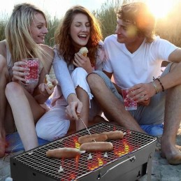 Folding tourist grill suitcase portable garden charcoal with handle