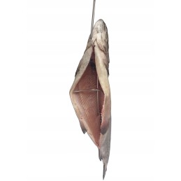 H 320 žuvies rūkymo kabliukai sykams, 10 vnt