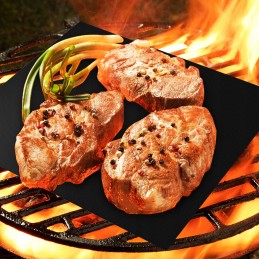 8x grilio kilimėlis anglies dujiniam griliui, universalus 40x33