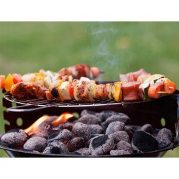 Dancoal medienos briketai bbq griliui 2,5 kg - 4 vnt.
