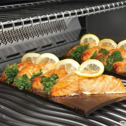 Kedro napoleono kepsninė.