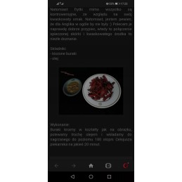 Maisto termometras su zondu - juoda spalva - 0°C +250°C