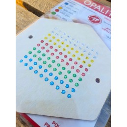 Lenkiški opalitikai bičių motinėlėms ženklinti 5 metams