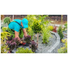 Nuo piktžolių agrowoven audinio nuo piktžolių UV storio juodos spalvos 3,2x5m