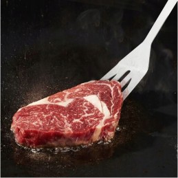 Aksesuarų rinkinys, kepsninės reikmenys, dėklas, 9 vnt