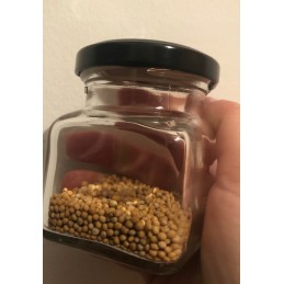 Kvadratinis stiklinis indas 120 ml