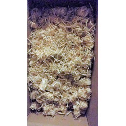 ⭐️ Ekologinis kūrenimas šašlykinei, laužui, katiliui ir viryklei įkurti ⭐️