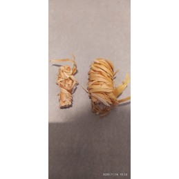 ⭐️ Ekologinis kūrenimas šašlykinei, laužui, katiliui ir viryklei įkurti ⭐️