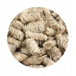 Sulankstoma turistinė kepsninė, lagaminas + nemokamas natūralus kūrenimas