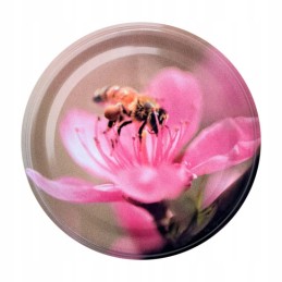 50x medaus kamšteliai, skersmuo 82, medaus indeliui su dangteliu