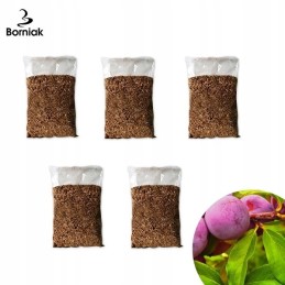 Rūkymo traškučiai borniak rūkymui 10l slyvų slyva