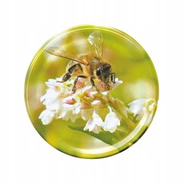 Fi82 kamšteliai medaus stiklainiams (50 vnt) - modelis nd57