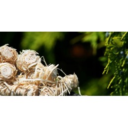 Ekologinis lengvesnis 3 kg feniksas | Ekologiškas kūrenimas židiniams, griliui ir krosnelėms