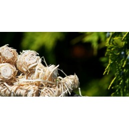 Kindling (eco-kindling) 3 kg feniksas