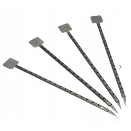 Šašlyko grilio skonis