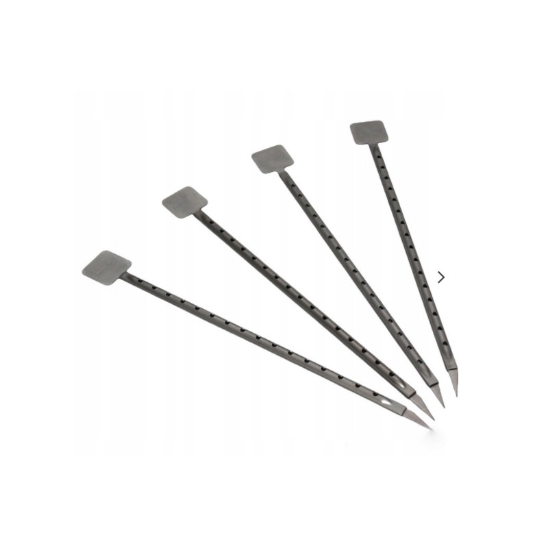 Šašlyko grilio skonis