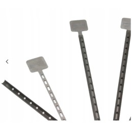 Šašlyko grilio skonis