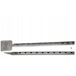 Šašlyko grilio skonis