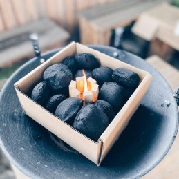 Woodson ekologinis kūrenimas šašlykams - briketai 0,8 kg (w13pl)