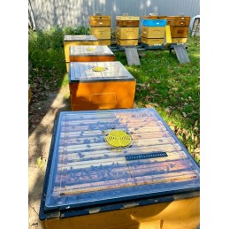 Skaidrus dangtelis su termometru, 1 skylė, dad10 / wlkp 12 - brctech