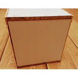 Dėžutė bičių siuntimui su bičių pakuotėmis