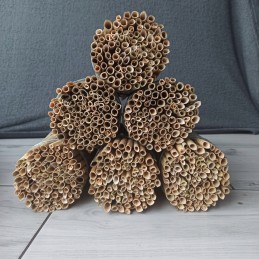 Nendriniai vamzdeliai nendrių ryšuliuose