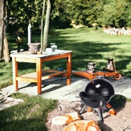 Grilis anglinis sodo grilis su BBQ dangteliu