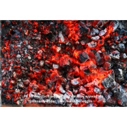 Eko anglis kepimui ant grotelių 2,5 kg, dideli gabaliukai