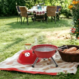 Grilis anglinis sodo grilis su BBQ dangteliu