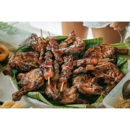 Nešiojama anglinė sodo kepsninė su briketais, sulankstoma lagamine