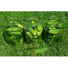 Taip pat peržiūrėkite kitus mūsų aukcionus! :)