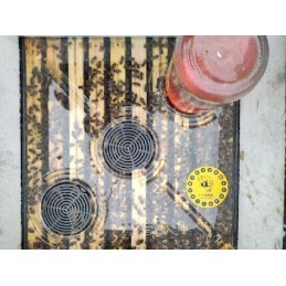 Wielkopolska permatomas dangtelis, 10 rėmelių plastikas