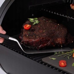 Broil karalius ilga mentele baronas