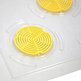 Skaidrios, 10 rėmų Wielkopolska lubos, plastikinės